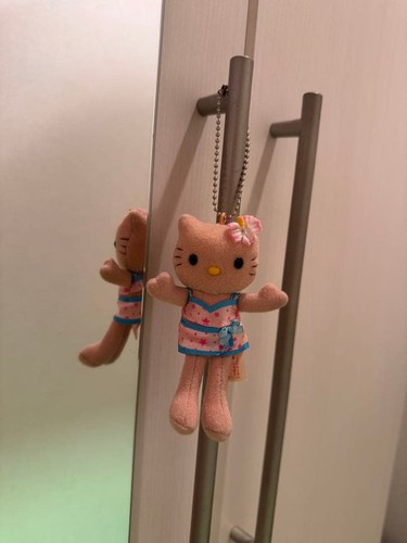 Black skinned hello kitty long - skinned,